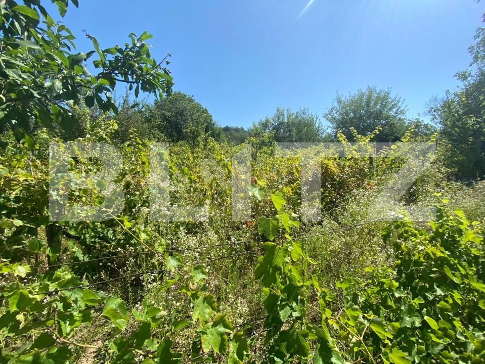 Teren de vânzare Nord-Est - 154633TV | BLITZ Zalău | Poza6