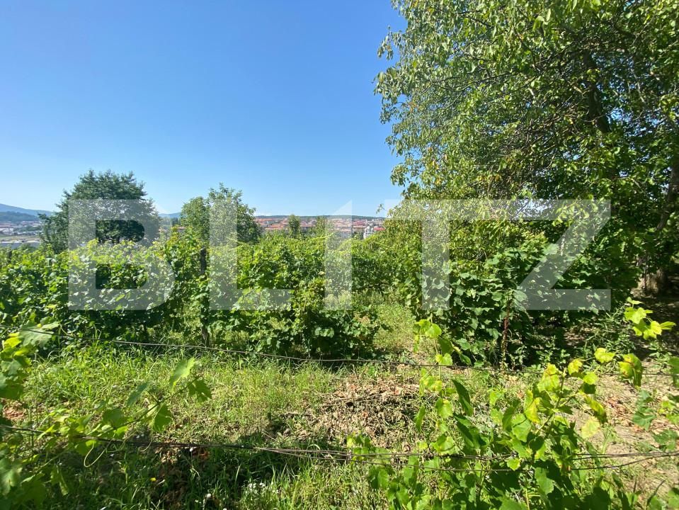 Teren de vânzare Nord-Est - 154633TV | BLITZ Zalău | Poza2