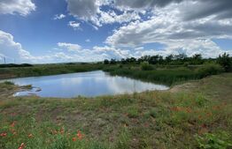 Teren extravilan 10000 mp, cu balta de peste, Salaj, Sarmasag