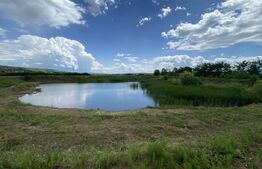 Teren extravilan 10000 mp, cu balta de peste, Salaj, Sarmasag