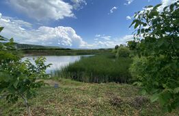 Teren extravilan 10000 mp, cu balta de peste, Salaj, Sarmasag