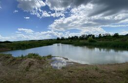 Teren extravilan 10000 mp, cu balta de peste, Salaj, Sarmasag