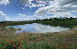 Teren extravilan 10000 mp, cu balta de peste, Salaj, Sarmasag