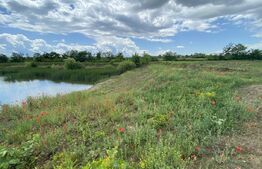 Teren extravilan 10000 mp, cu balta de peste, Salaj, Sarmasag