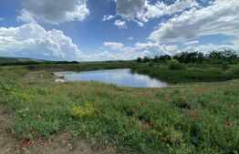 Teren extravilan 10000 mp, cu balta de peste, Salaj, Sarmasag