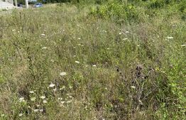 Teren intravilan in Livada Meses cu toate utilitatile