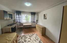 Garsoniera de vanzare suprafata utila 22 mp, zona Dumbrava Nord
