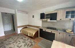 Garsoniera de vanzare suprafata utila 22 mp, zona Dumbrava Nord