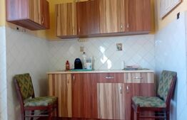 Apartament de 2 camere, zona Dumbrava 2