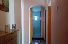 Apartament de 3 camere 