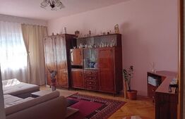 Apartament de 3 camere 