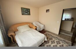 Casa de vanzare, spatiu comercial in suprafata 220 mp, in  localitatea Sarmasag