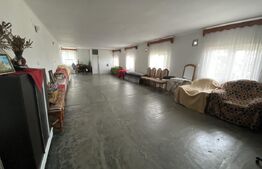 Casa de vanzare, spatiu comercial in suprafata 220 mp, in  localitatea Sarmasag