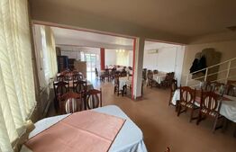 Casa de vanzare, spatiu comercial in suprafata 220 mp, in  localitatea Sarmasag