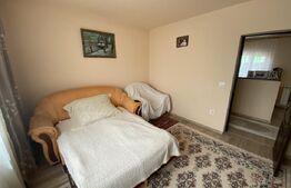 Casa de vanzare, spatiu comercial in suprafata 220 mp, in  localitatea Sarmasag