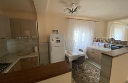 Casa de vanzare, spatiu comercial in suprafata 220 mp, in  localitatea Sarmasag