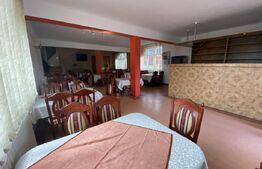 Casa de vanzare, spatiu comercial in suprafata 220 mp, in  localitatea Sarmasag