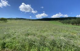 Teren intravilan in suparafat de 19213 mp, zona Valea Mitii