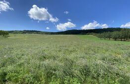 Teren intravilan in suparafat de 19213 mp, zona Valea Mitii