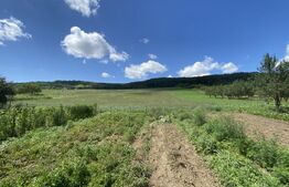 Teren intravilan in suparafat de 19213 mp, zona Valea Mitii