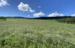 Teren intravilan in suparafat de 19213 mp, zona Valea Mitii