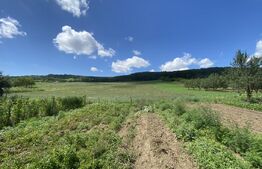 Teren intravilan in suparafat de 19213 mp, zona Valea Mitii