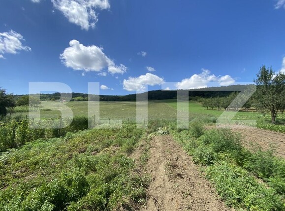 Teren de vânzare Exterior-Vest - 155596TV | BLITZ Zalău | Poza4