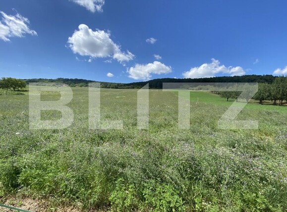 Teren de vânzare Exterior-Vest - 155596TV | BLITZ Zalău | Poza1