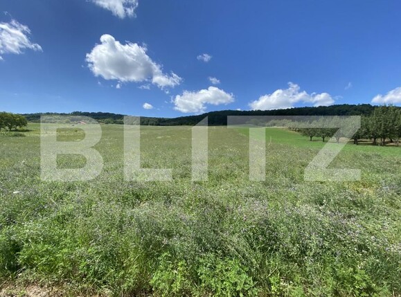 Teren de vânzare Exterior-Vest - 155596TV | BLITZ Zalău | Poza3