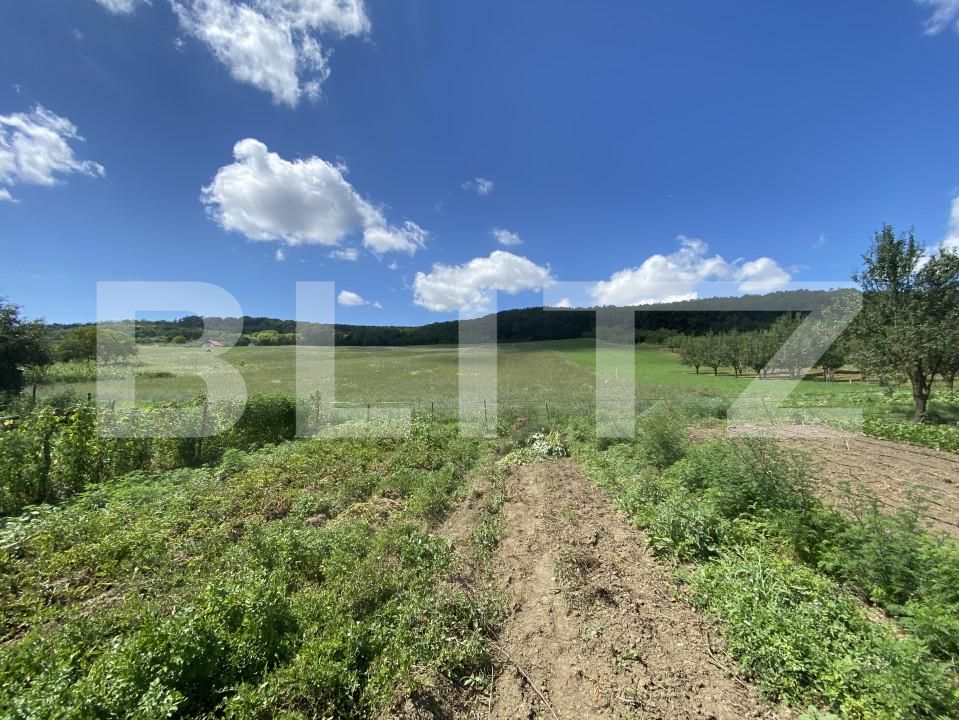 Teren de vânzare Exterior-Vest - 155596TV | BLITZ Zalău | Poza4