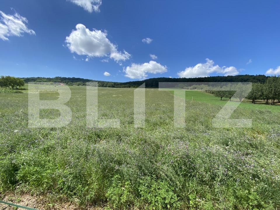 Teren de vânzare Exterior-Vest - 155596TV | BLITZ Zalău | Poza2