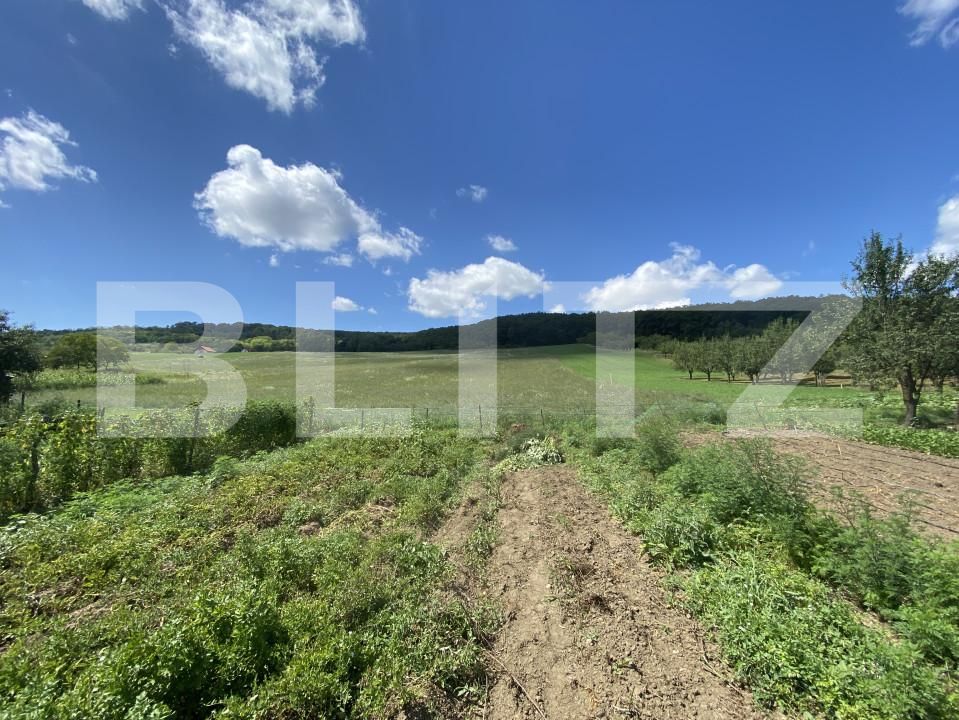 Teren de vânzare Exterior-Vest - 155596TV | BLITZ Zalău | Poza5