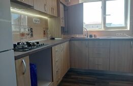 Apartament de 2 camere cu intrări separate și pod 