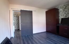 Apartament de 2 camere cu intrări separate și pod 