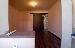 Apartament de 2 camere cu intrări separate și pod 