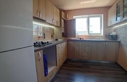 Apartament de 2 camere cu intrări separate și pod 
