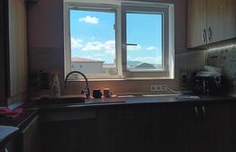 Apartament de 2 camere cu intrări separate și pod 