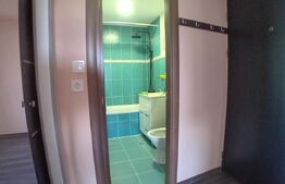 Apartament de 2 camere cu intrări separate și pod 