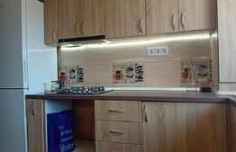 Apartament de 2 camere cu intrări separate și pod 