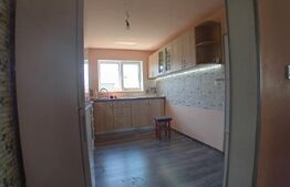 Apartament de 2 camere cu intrări separate și pod 