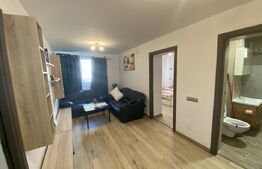 Apartament 3 camere, 60 mp, decomandat, zona Autogara