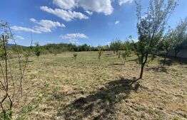 Teren intravilan in Aghires in suprafata de  1500 mp