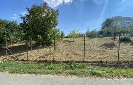 Teren intravilan in Aghires in suprafata de  1500 mp