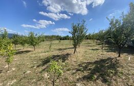 Teren intravilan in Aghires in suprafata de  1500 mp