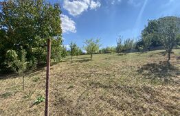 Teren intravilan in Aghires in suprafata de  1500 mp