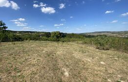 Teren intravilan in Aghires in suprafata de  1500 mp