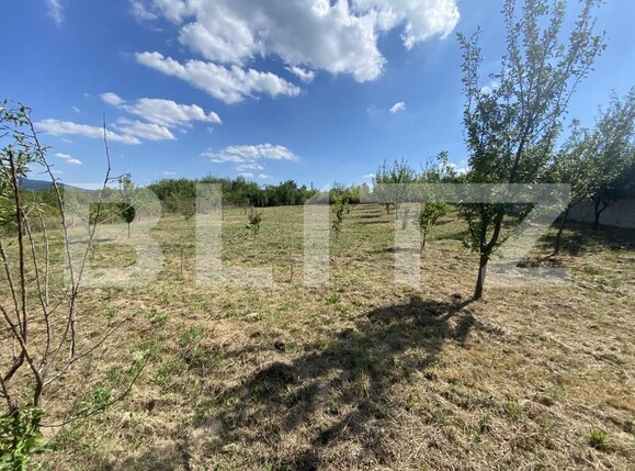 Teren de vânzare Aghires - 156553TV | BLITZ Zalău | Poza3