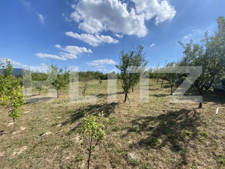 Teren de vânzare Aghires - 156553TV | BLITZ Zalău | Poza4
