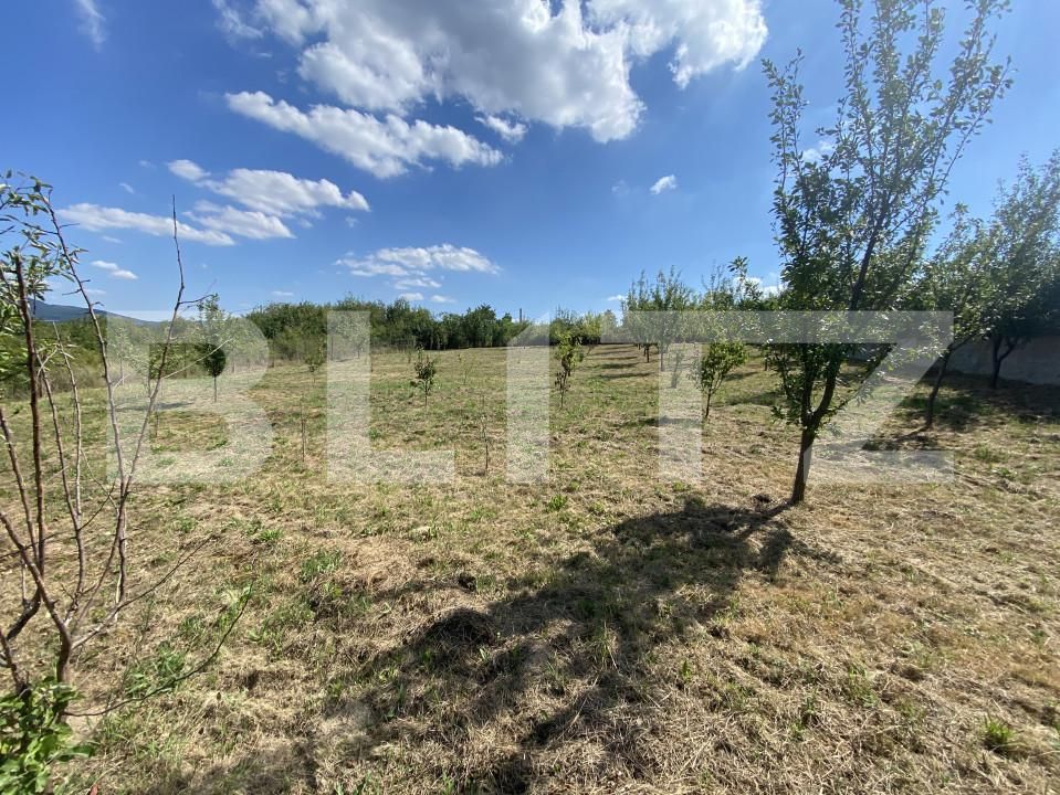 Teren de vânzare Aghires - 156553TV | BLITZ Zalău | Poza3