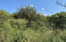 Teren extravilan in apropierea lacului Varsolt in suparfata de 3800 mp